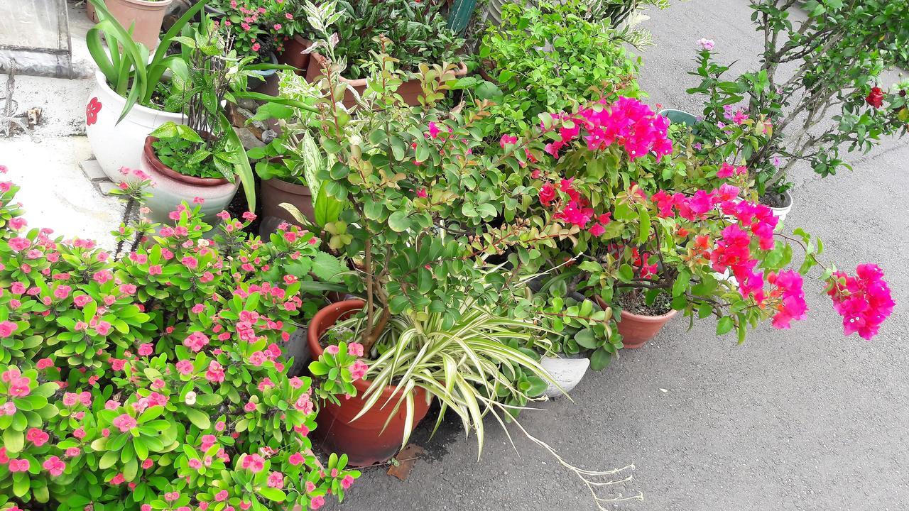 Hai Xia Your Home Fulong Екстериор снимка